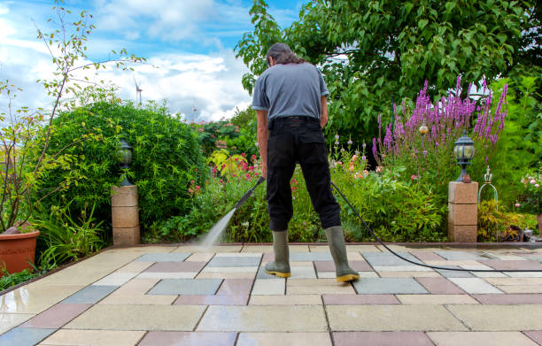 Best Sidewalk and Walkway Cleaning  in Val Verde Park, TX